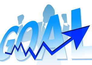 开云官方网-体育品牌市场影响力年度评估，体育品牌市场份额