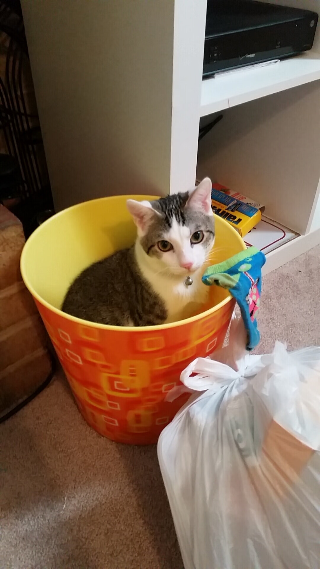 德甲球队视频分析提升防守站位调整效率的实证，德甲球队地理位置