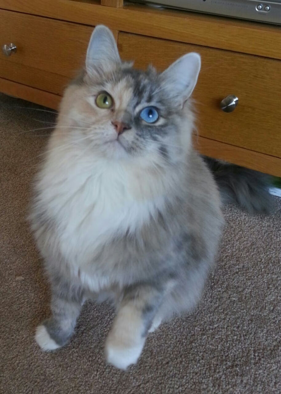 kaiyun开云体育-“网球对抗：高新体育中心赛场巅峰高手强强碰撞”