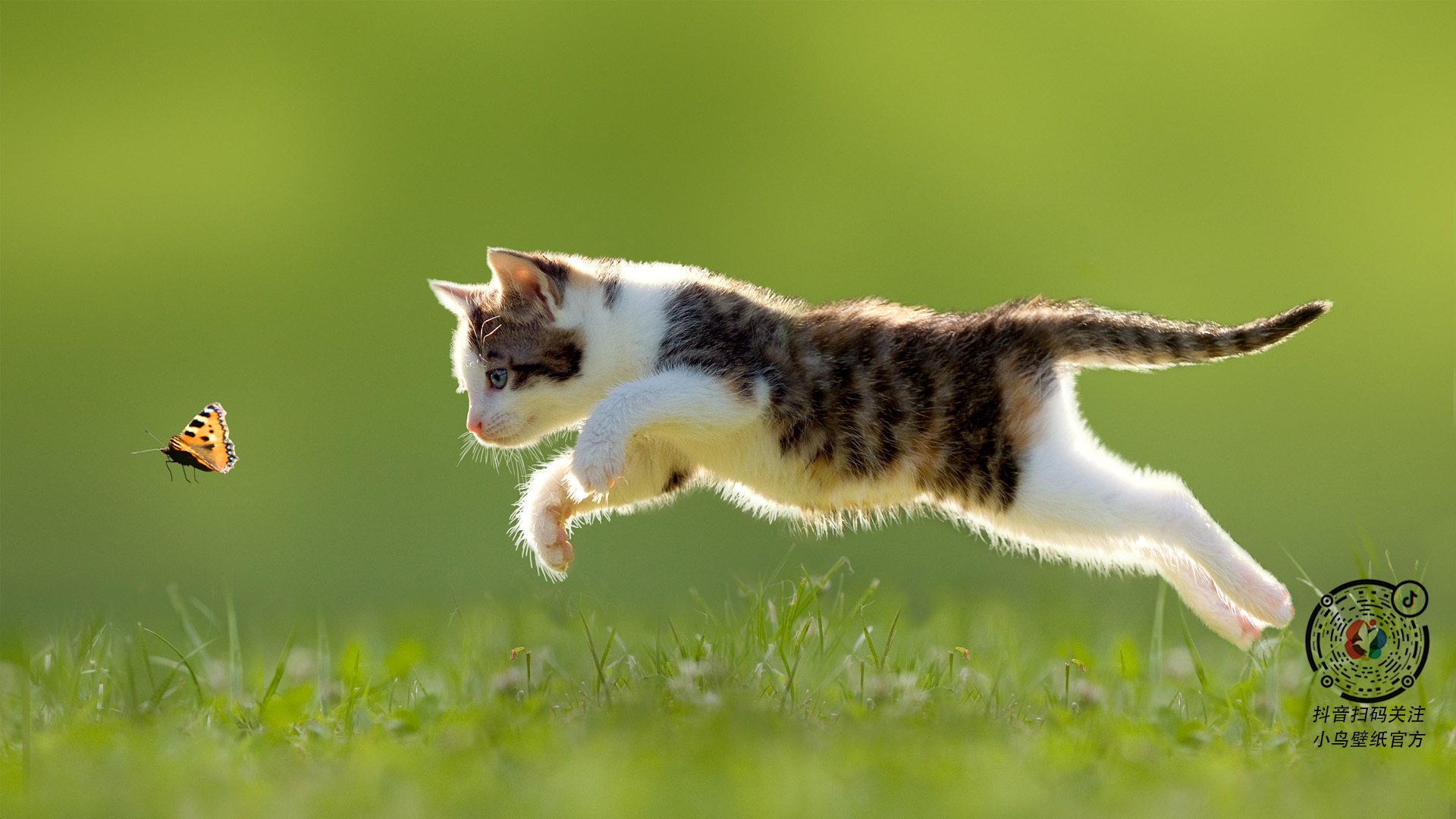 体育新闻中心协办全国体育数字传播技术研讨会,体育数字化转型