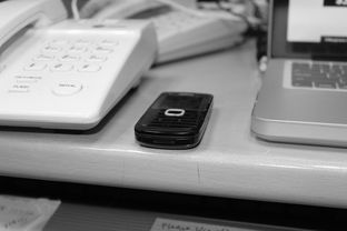 开云体育app注册-技术数据揭示冠军转身平均仅0.65秒，冠军转盘