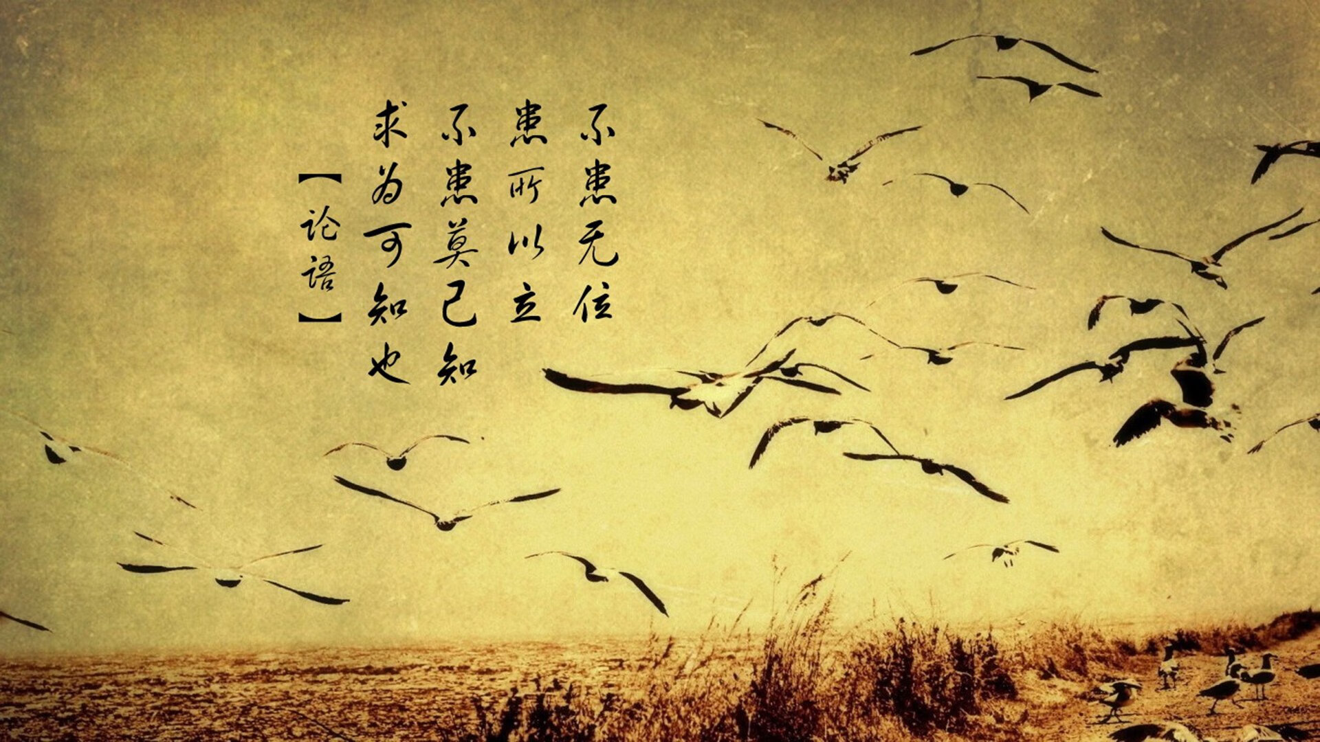 开云ky官网-澳女队发挥稳定 稳中制胜，澳运女足赛程