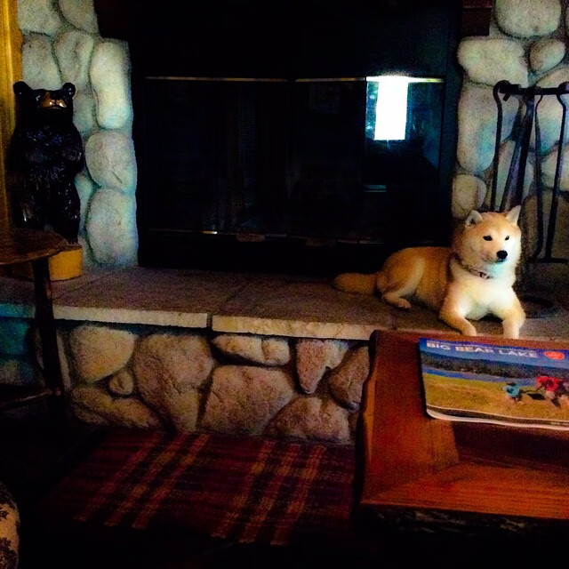 开云体育网站-青少年体育赛事多样化发展，青少年体育比赛