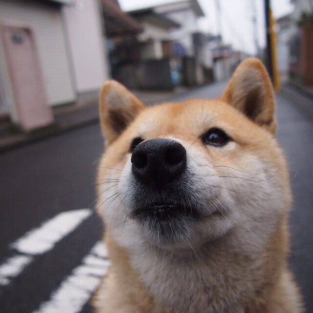 青少年体育赛事多样化发展，青少年体育比赛