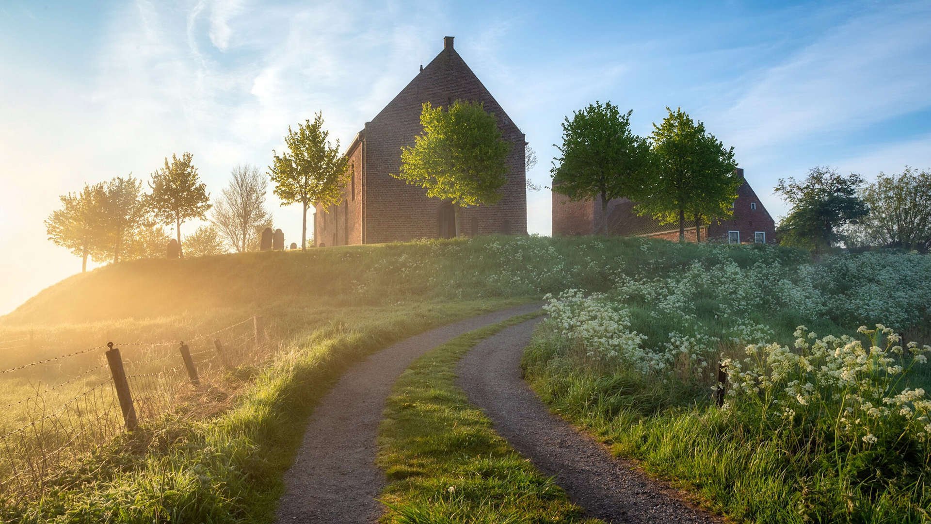 “阿根廷美洲狮队挑战世界强队,未来发展值得期待”