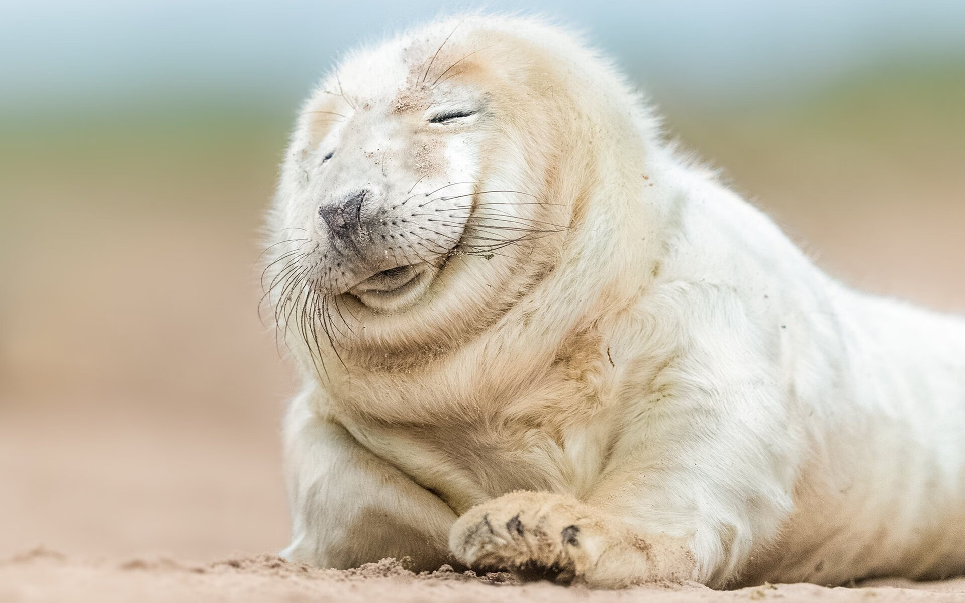 开云app-中国足球联赛优化裁判管理体系，中国足球协会裁判员管理系统