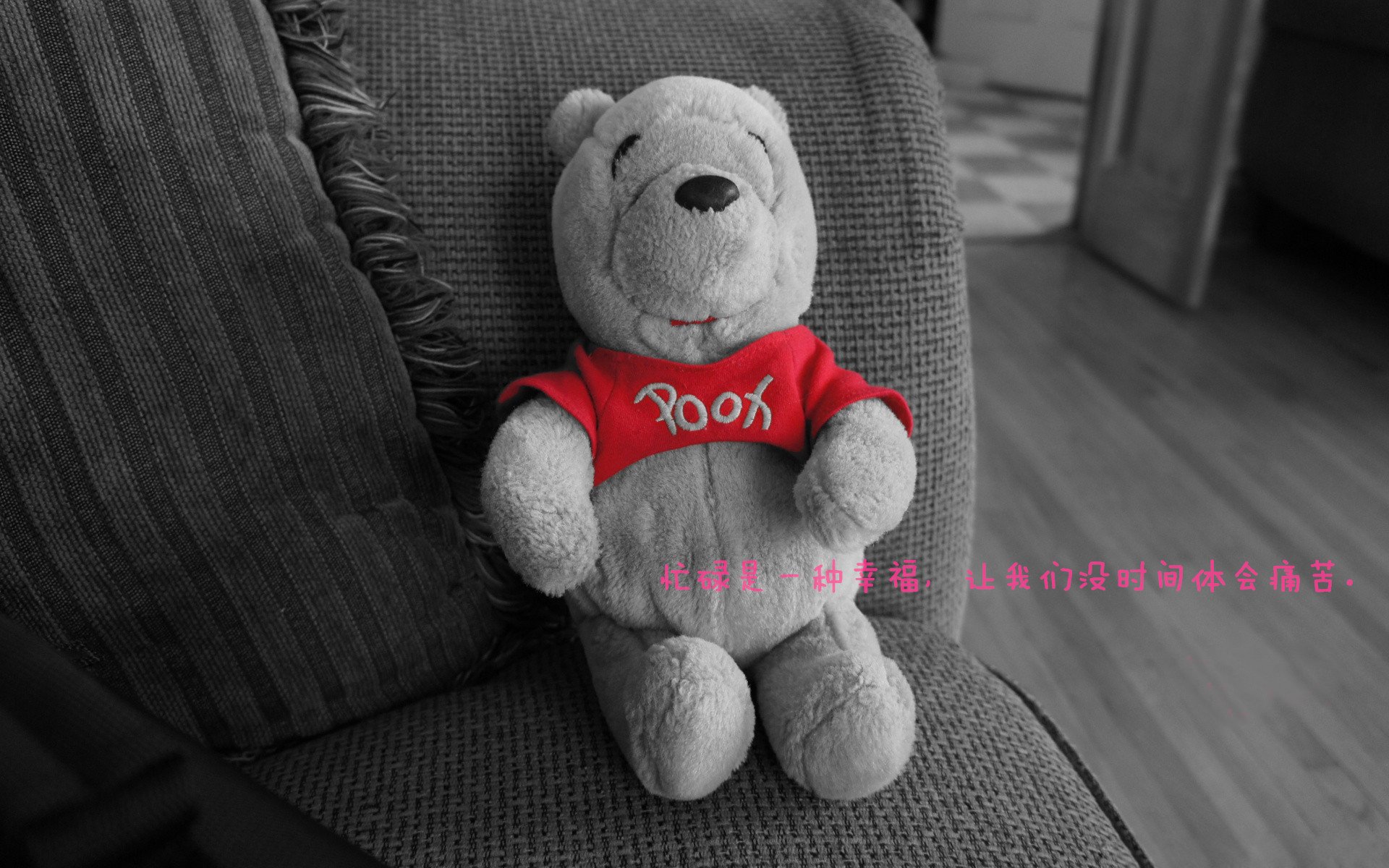 伯科夫冲线瞬间引爆现场气氛,博布科夫