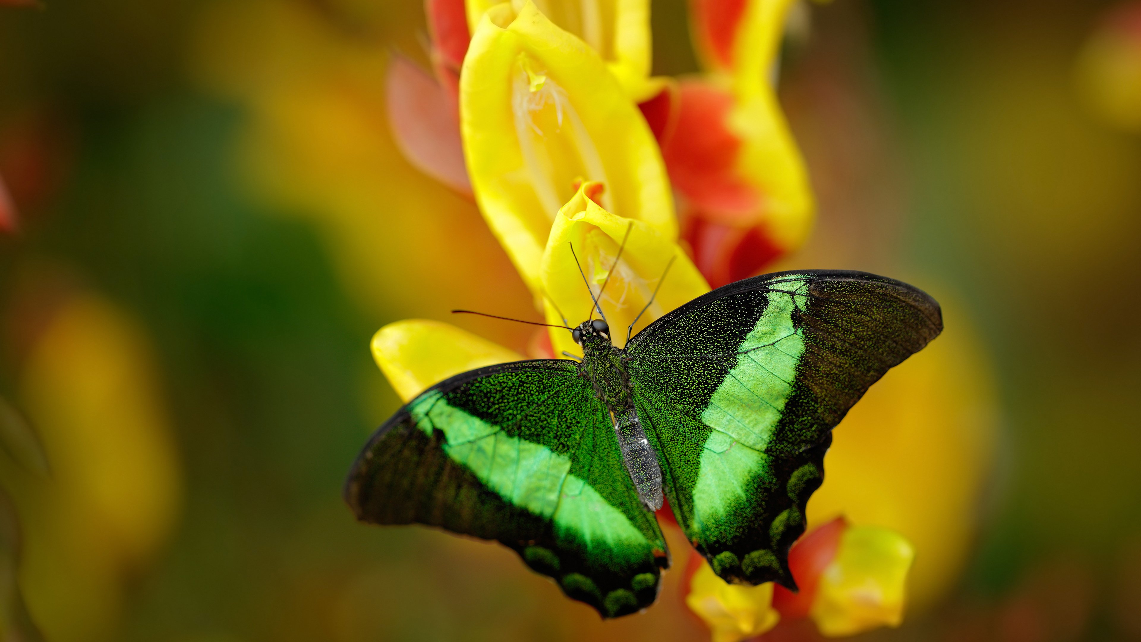 开云体育app在线-体育新闻中心发布冬奥遗产利用政策研讨会议程，2022年北京冬奥会和冬残奥会遗产战略计划