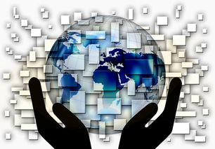 开云体育app注册-国家滑板协会公布全国青少年排名更新机制，国家滑板队训练中心