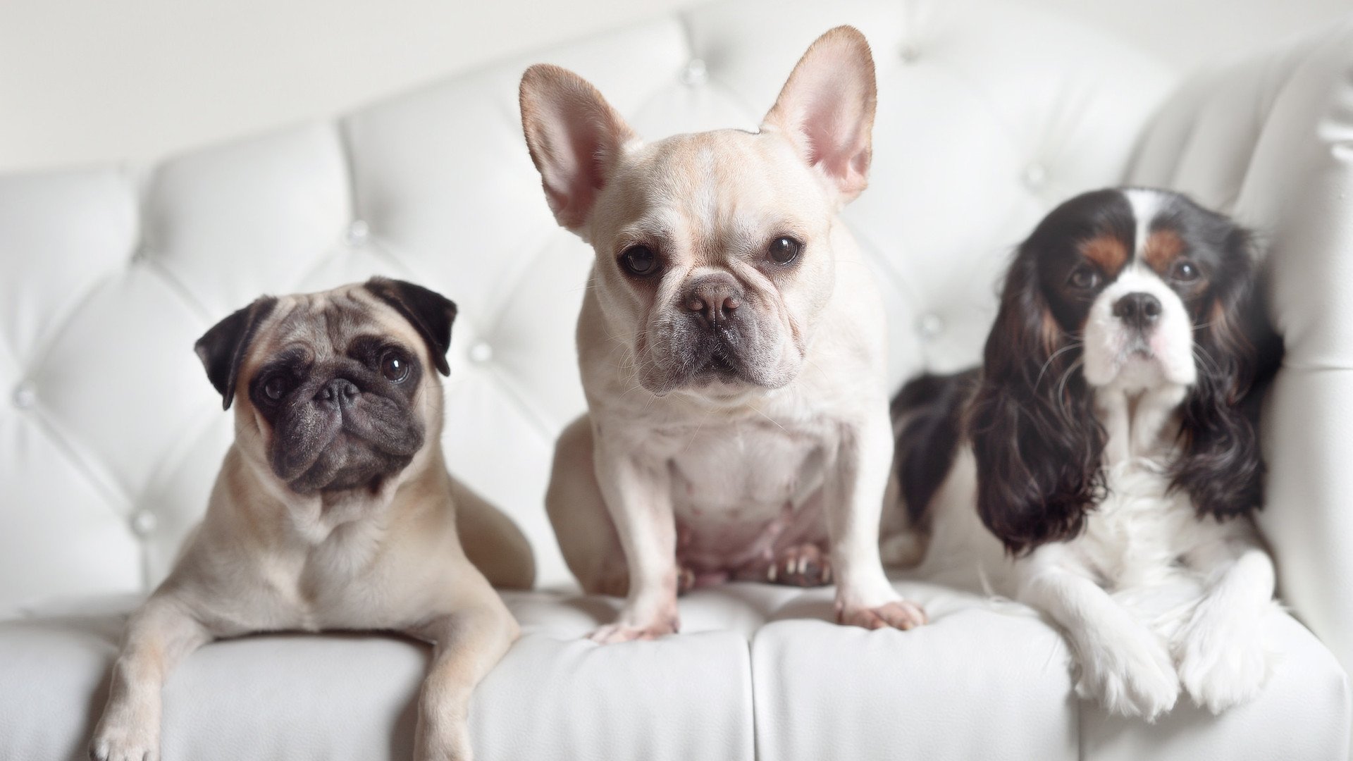 开云体育在线入口-女子队推动橄榄球多元文化发展，女子橄榄球联合队