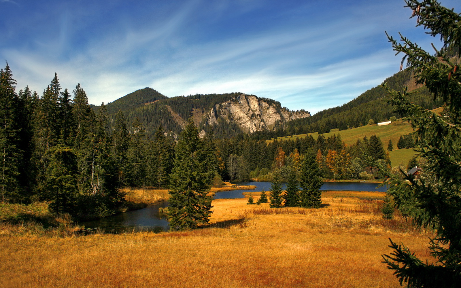 开云体育平台-平台上线回顾专题呈现本赛季高光瞬间引发球迷热议