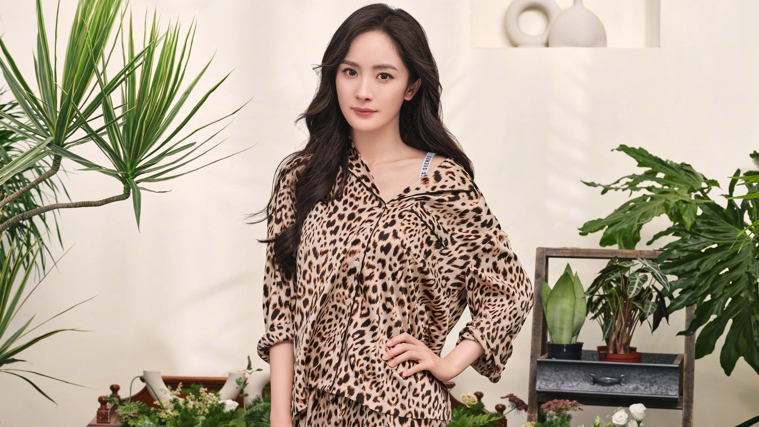 2.6万亿基金运作八年赚钱,“老有所养”有底气