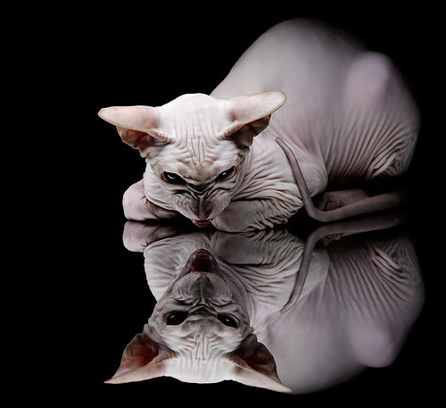 Zocca 首开纪录,展现接球天赋